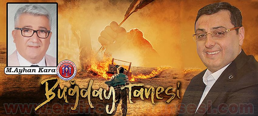 BUĞDAY TANESİ'NİN YOLCULUĞU
